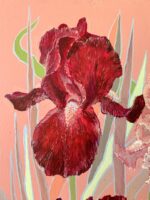 Schwertlilien in Rosa – Bild 3