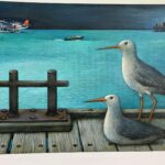 Erinnerungen an die Malediven. Möwen.