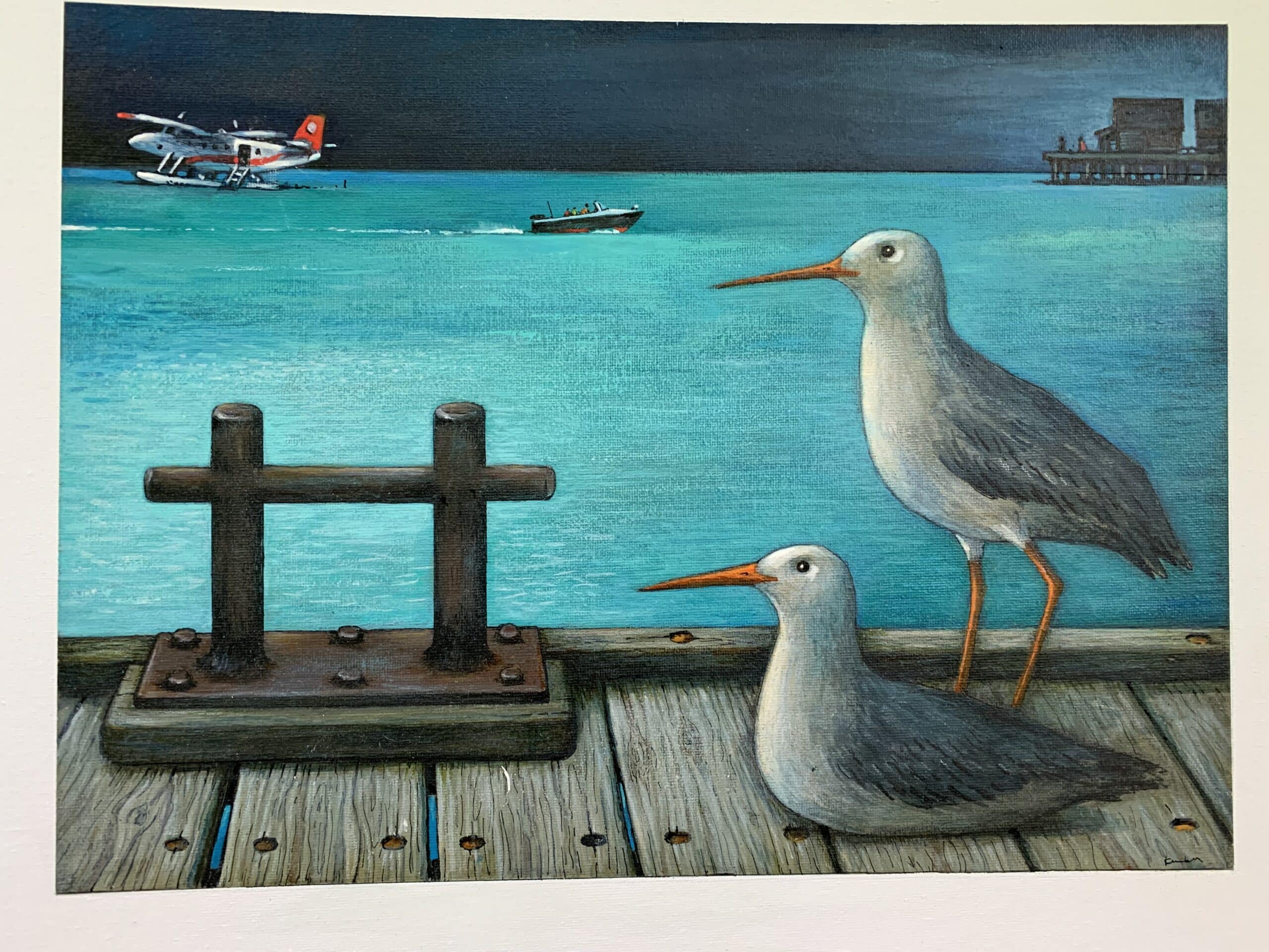 IMG_3534-1-scaled-1.jpeg Erinnerungen an die Malediven. Möwen. – Bild 1