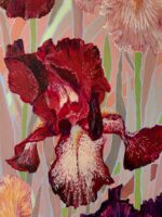 Schwertlilien in Rosa – Bild 4