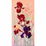 Schwertlilien in Rosa