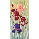 Schwertlilien in Grün